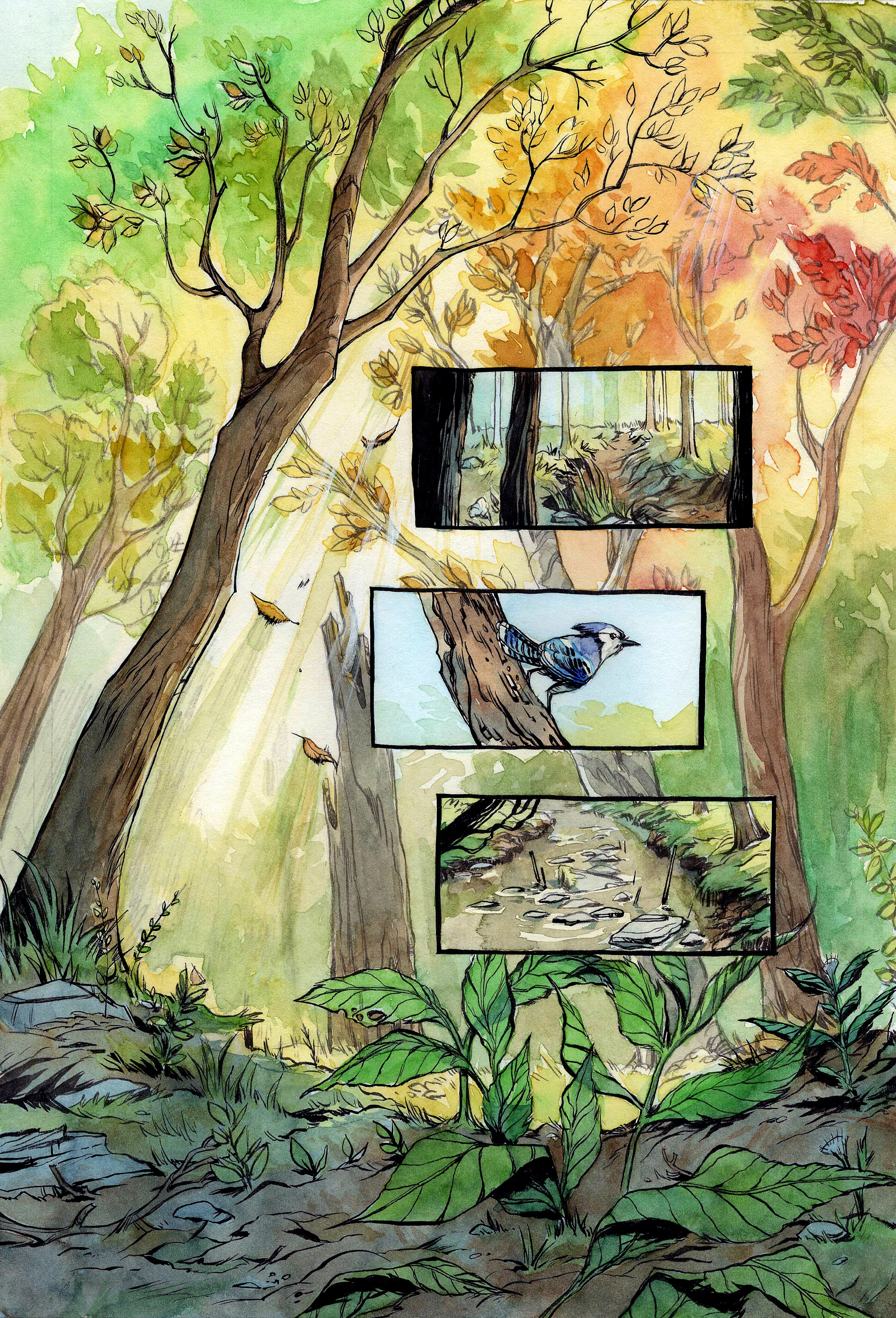 Digital Edition - Marble Hornets Issue 2: Eyes Open - Image 3
