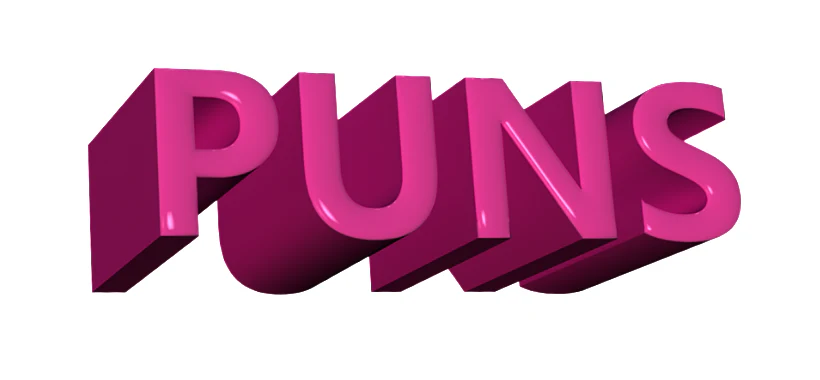 Puns - Image 5